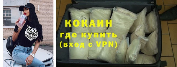 крисы Новокубанск
