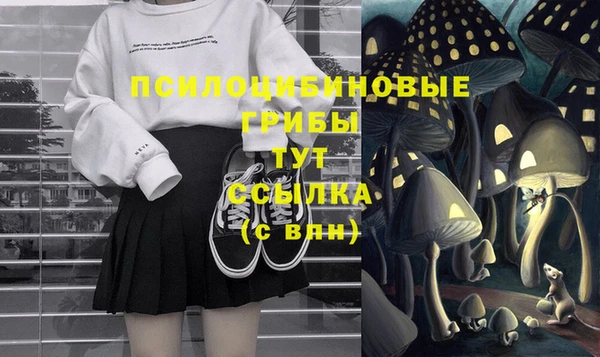крисы Новокубанск