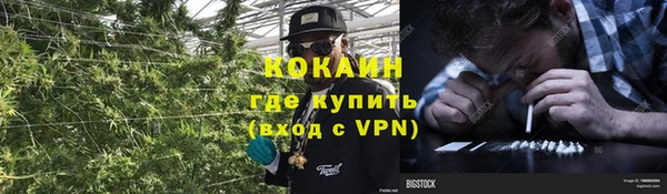 тгк Новозыбков