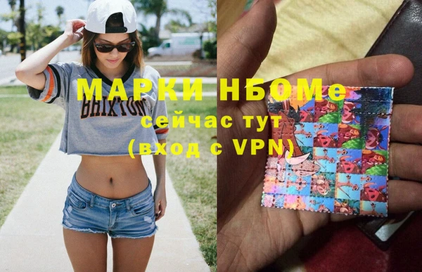 крисы Новокубанск