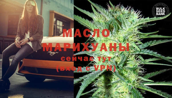 тгк Новозыбков