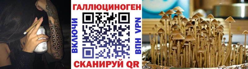 Псилоцибиновые грибы мицелий  Амурск 