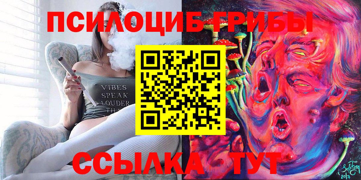 Галлюциногенные грибы Psilocybe  Амурск 