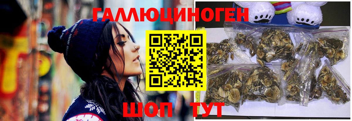 Псилоцибиновые грибы мухоморы  Псилоцибиновые грибы мицелий  Вход с VPN  Амурск 