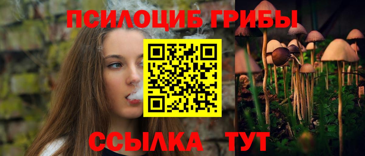 Псилоцибиновые грибы прущие грибы Амурск